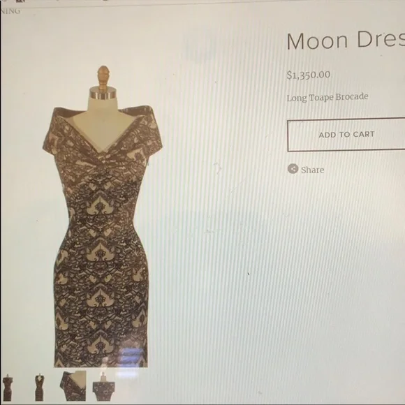 Anya Ponorovskaya Moon Brocade Dress - Picture 16 of 16